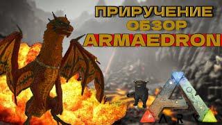 КАК ПРИРУЧИТЬ Armaedron в ARK? ОБЗОР и характеристика