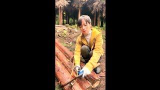 Strong Chinese girl worker .#nature #bushcraft #forest #primitive #camping #wood #life #tree