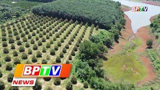 BPTV NEWS 30-9-2023: Binh Phuoc adapts to EU Deforestation Regulation