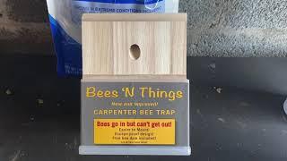 Bees ‘N Things Carpenter Bee Trap