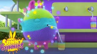 Sunny Bunnies - FRUITY RAINBOW | SEASON 7 COMPILATION | Funny Cartoons For Kids