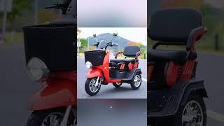 Popular Three wheel electric scooters