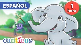 1 Hour of Canticos Best Songs | Pollitos Dicen Pio, Un Elefante, Pin Pon Canciones Infantiles  MIX