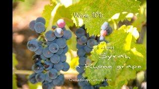 Wine 101: Syrah. a Rhone Grape