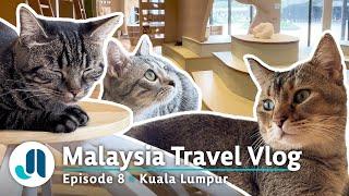 Cat Cafe in Kuala Lumpur | Malaysia Travel Vlog • Ep. 8