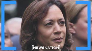 Harris' progressive policies cost Democrats the election: GOP strategist | Morning in America