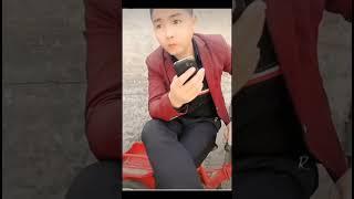 New funny Video 2024/part 20/#funny #funnyanimals#20 #shorts#cow