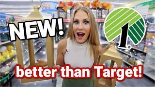  NEWEST!  DOLLAR TREE finds BETTER than Target! (easy DIY + new cleaners!)