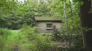 Spooky Evil Dead looking house in the woods! - Free stock video to use with credit given