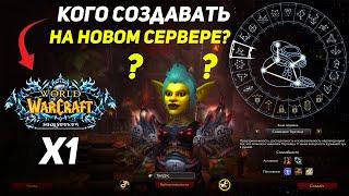 Выбор Класса Для Пве на х1 Wow Sirus