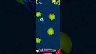 Pocket Frogs: legendary frog #shorts