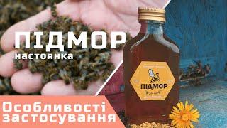 Настоянка бджолиного підмору - особливості застосування