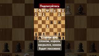 Контргамбит АЛЬБИНА часть 1 #ловушка #мат #шахматы #шахи #chess #chessgame #гамбит