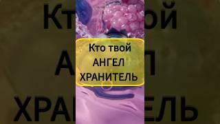 Надежда на ангела-хранителя и божественную помощь против собственной силы.