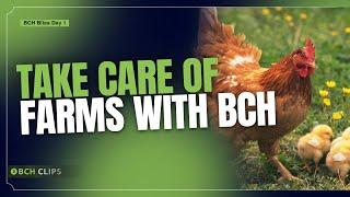 Take Care of Farms with BCH - BCH Bliss