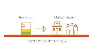 How the plan, medical network and doctor work together