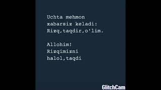 Uchta mehmon!!!