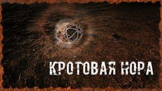 Кротовая нора S.T.A.L.K.E.R. ОП-2.2 Народная Солянка