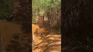Huge drop to 40 ft no hander #dh #fun