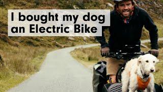 I bought a Riese & Müller e-bike bike so I could take my dog bike-packing with me - Snowdonia, Wales