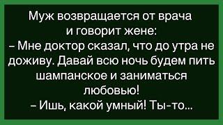 Как Муж Дал Объявление О Пропаже Собаки!Большой Сборник Смешных Анекдотов!Юмор!Настроение!