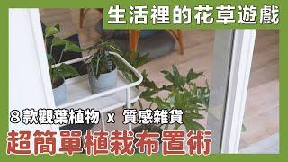 8 ways to decorate your home with foliage plants｜waja蛙家