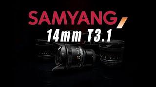 Samyang14mm T3.1- VDSLR M2