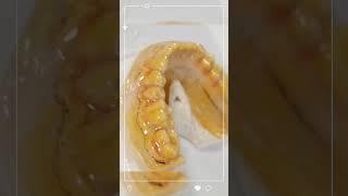 Капы от бруксизма – это эластичные шины из медицинского полимера. Ортодонтическое приспособление.