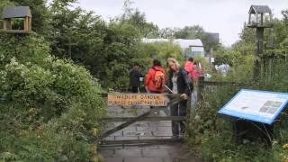 Little sponges: how The Wildlife Trusts inspire kids