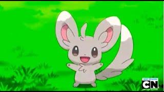 Minccino's Cute Moments