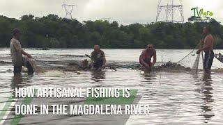 How Artisanal Fishing is done in the Magdalena River