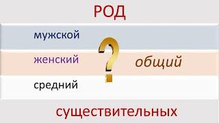 #русскийязык #егэ Русский язык. Род существительных.Сложные случаи определения рода. Видеоурок