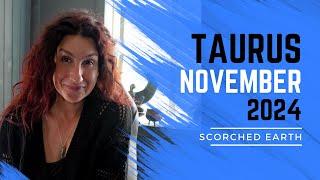 TAURUS || NOVEMBER 2024 || Gifts, Catharsis & Peaceful Symmetry