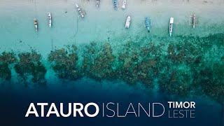 Atauro: Remote Island Experience || Timor Leste Travel Vlog