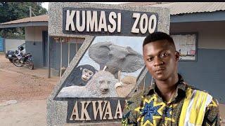 A  Zoo in the Forest inside Kumasi#africa #ghana #foresterization #zoo #travel #forest #trend#fyp