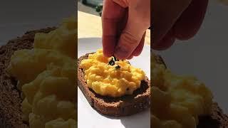 Easy Scrambled Eggs For Students