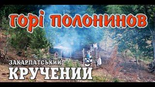 Сколомийка Лисичанська️За сивими воликати, горі полонинов Закарпатські коломийки  #коломийка