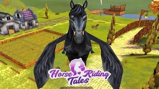 Приручаем двух пегасов  Horse Riding Tales