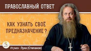 Как узнать свое предназначение?  Игумен Лука (Степанов). Православный ответ