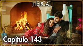 Hercai - Capítulo 143