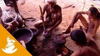 The acai berry, the black gold in the Amazon