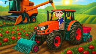Tractor and farm - Harvest tomatoes and transport them with Tractor | Funny Vehicles Farm