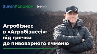 Диференційований посів кукурудзи — 200-300 кг/га прибавки, досвід Агробізнесу / СуперАгроном