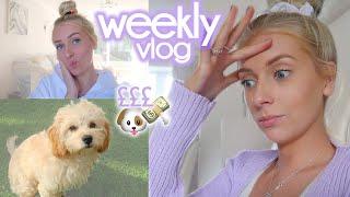 a BIG purchase is coming  & Sunny’s first puppy groom! // VLOG #16