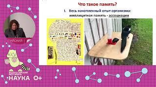 Ольга Ивашкина «Устройство памяти: как и у каких животных мы ее изучаем»