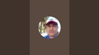 халықтан қызғанған Назарбаев қызыл итке жем болды  Арман Сандибаев в прямом эфире!