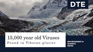 Unknown viruses dating back 15,000 years found in Tibetan glacier