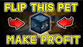 This simple flip will make you MILLIONS... | Auction House Flipping | Hypixel Skyblock