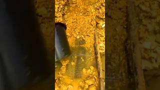 This Gold Mining Method Uses Water Like a Weapon Shorts  #GoldRush