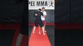 Inside Leg Trip for Beginners | BJJ | MMA | 2024